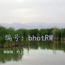 ΢